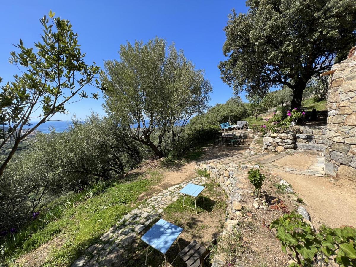 Casa Musicale Hotel Pigna Exterior photo